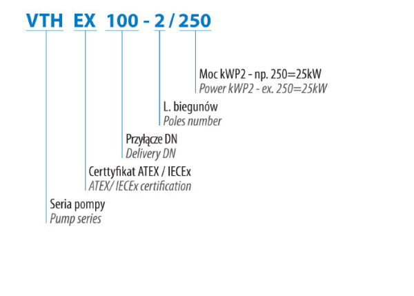 VTH-EX 80-2/120 (12 кВт, 400 В) погружной насос, сертифицированный ATEX